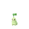 Chikorita