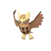 Noctowl