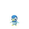 Piplup