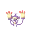 Ambipom