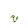 Snivy