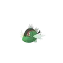 Basculin (Red-Striped Form)