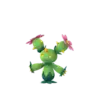 Maractus