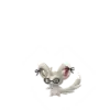 Minccino