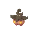 Pumpkaboo (Average Size)