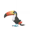 Toucannon