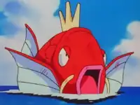 Nurse Joy's Magikarp