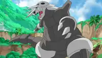 Gozu's Aggron