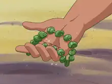 Green Shards in Pokémon the Series: Ruby and Sapphire