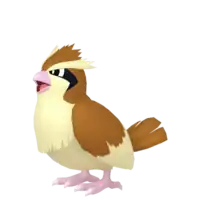 Pidgey