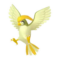 Pidgeotto