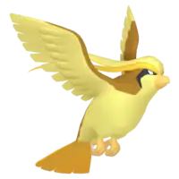 Pidgeot