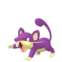 Rattata