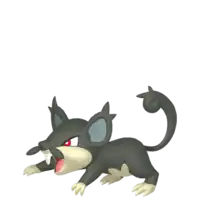 Rattata