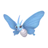 Venomoth