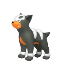 Houndour
