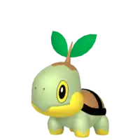 Turtwig