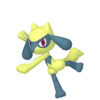 Riolu
