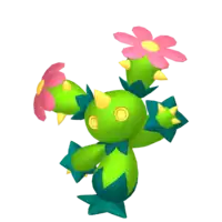 Maractus