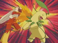 Fire Punch being used by Harrison's Blaziken