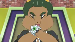 Hau's Z-Ring