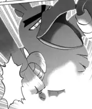 Henry's Dynamax Sirfetch'd