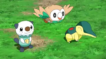 The Hisui region first partner Pokémon