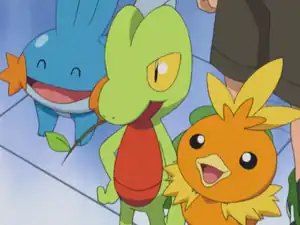 The Hoenn first partner Pokémon, owned by Brock, Ash, and May