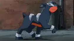 Houndour