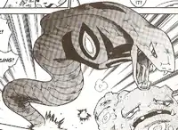 Jessie's Arbok (front)