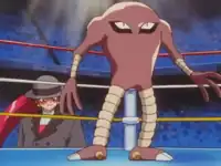Giant's Hitmonlee