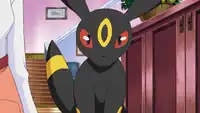 Johanna's Umbreon