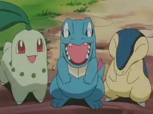 The Johto first partner Pokémon owned by Ash
