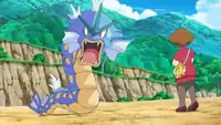 Karpy as a Gyarados