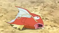 Karpy as a Magikarp