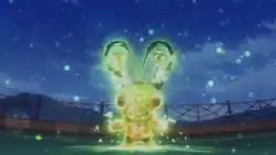 Katy's Terastallized Teddiursa (Bug)