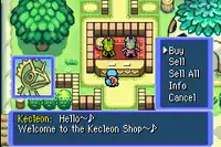 Kecleon Shop