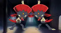 Kidd's Weavile