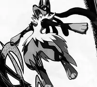 Korrina's Mega Lucario