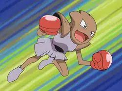 Kyle's Hitmonchan