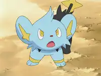 Landis's Shinx