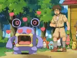 Infatuation in Pokémon the Series: Ruby and Sapphire