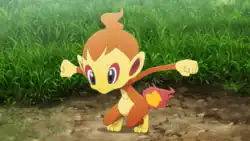 Lucas's Chimchar