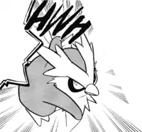 Masked Man's Delibird