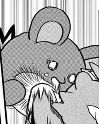 Master Dojo Student's Marill