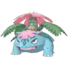 Leaf & Mega Venusaur
