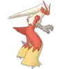 May & Blaziken