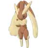 May & Lopunny