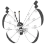 Viola & Vivillon