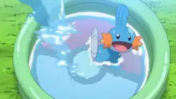 May's Mudkip